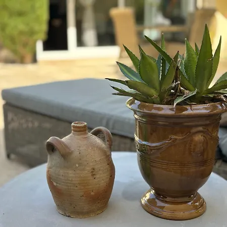 Cosy Avec Piscine ,parking Et Jardin Villeneuve-lès-Avignon