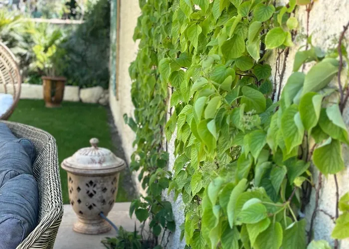 Cosy Avec Piscine ,parking Et Jardin